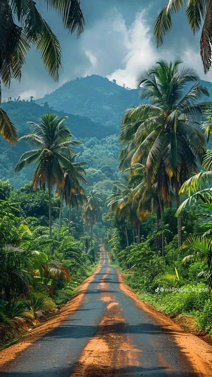 Découverte du Sri Lanka