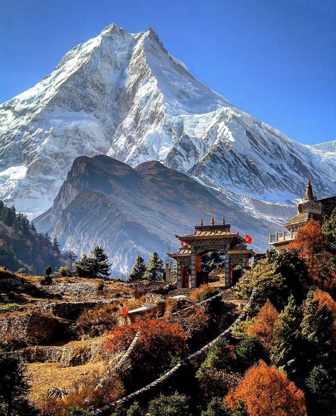 Séjour himalayen auprès du Dalaï Lama