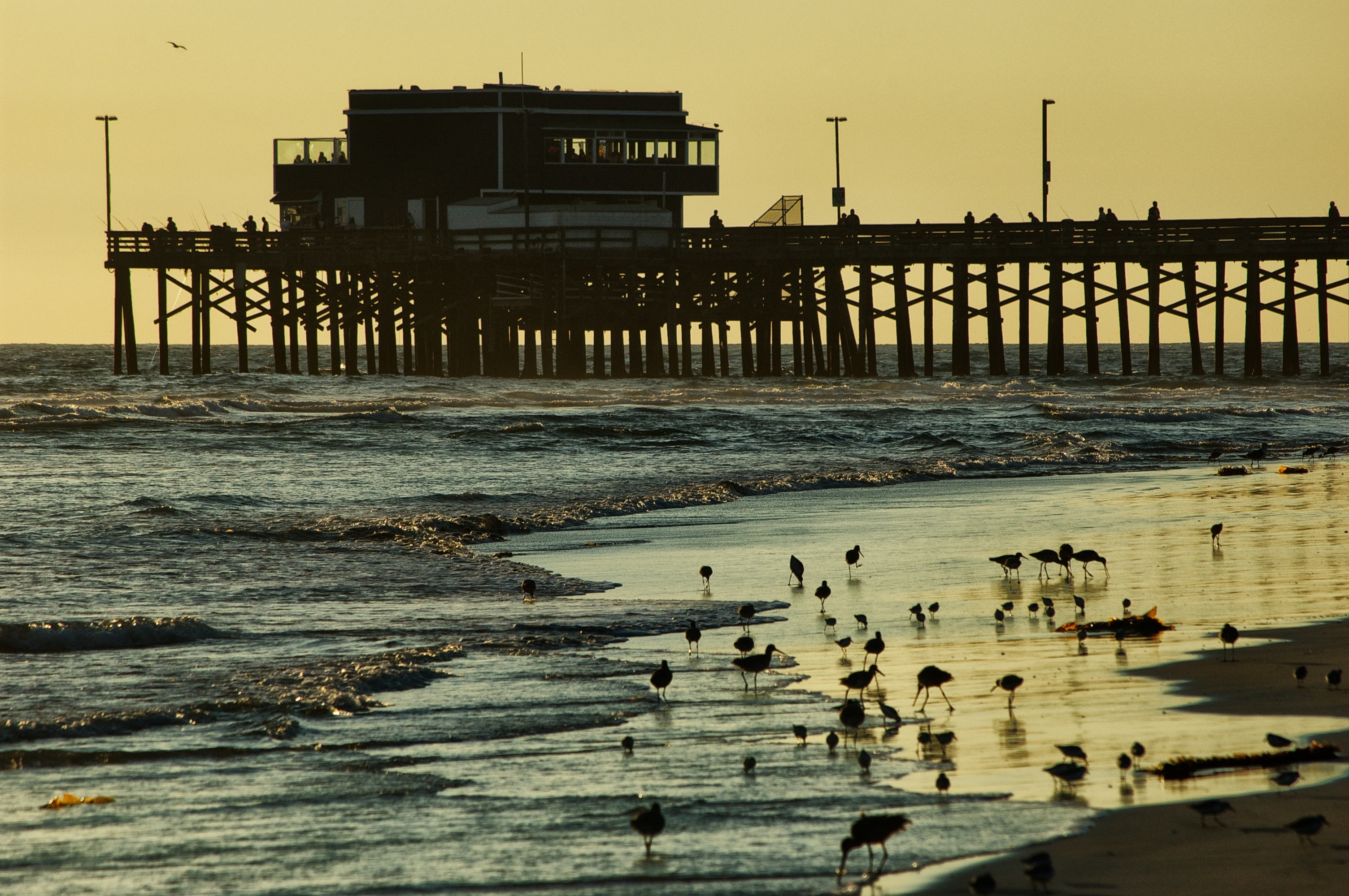 huntington Beach evening