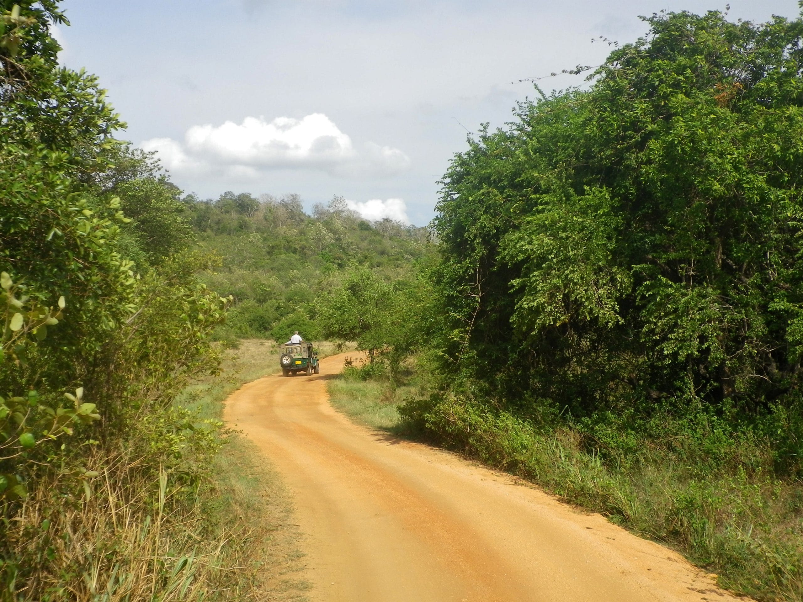 Safari Jeep Minneriya