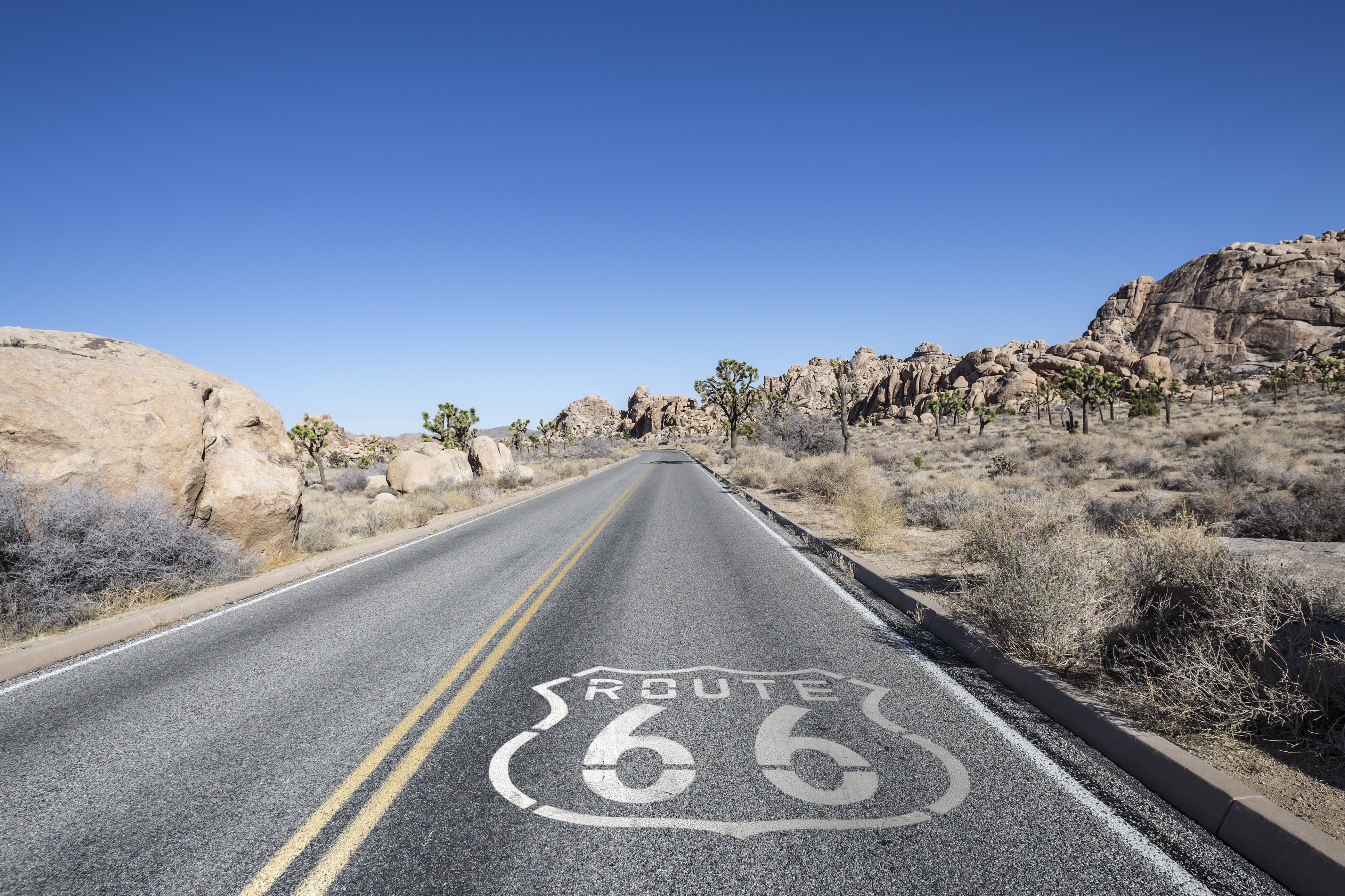 Joshua Tree Desert Highway with Route 66 Sign