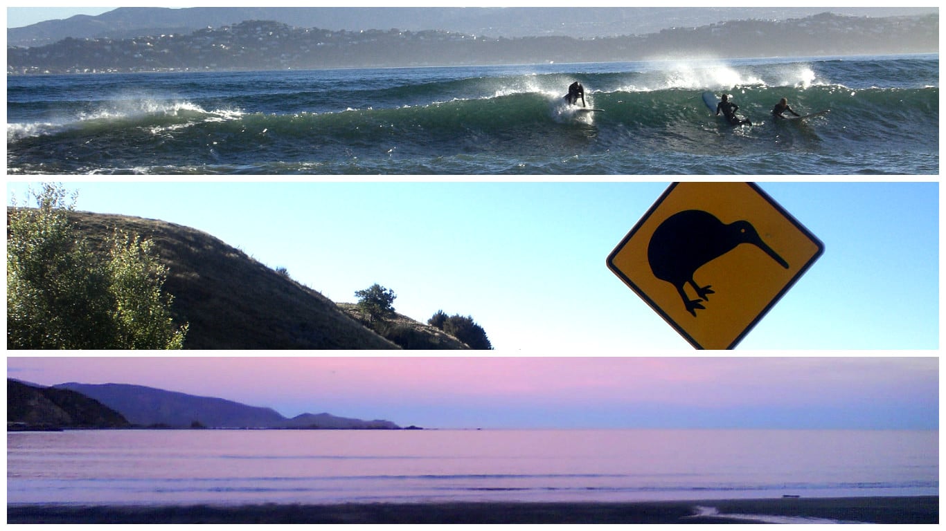 Wellington montage