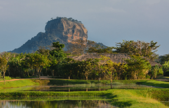 Rocher monumental du Sri Lanka au milieu d’une plaine verdoyante avec rizières et arbres.