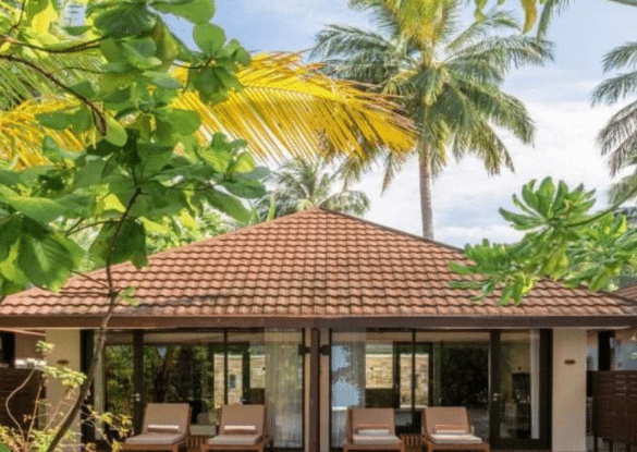 Villa entourée de palmiers au Lily Beach Resort & Spa aux Maldives, avec transats et toit en tuiles, nichée dans une végétation luxuriante à deux pas de la plage.