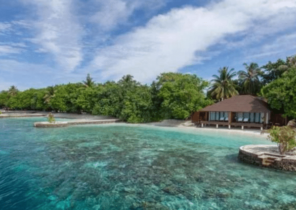Vue sur les villas du Lily Beach Resort & Spa aux Maldives, bordées par une plage de sable blanc et un lagon turquoise entouré de palmiers et de végétation tropicale.