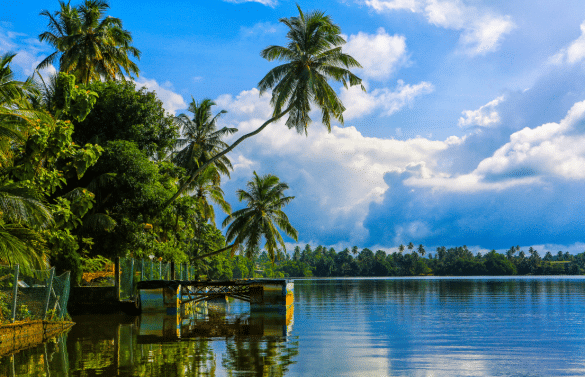 Paysage tropical à Bentota avec palmiers reflétés dans la rivière sous un ciel nuageux.