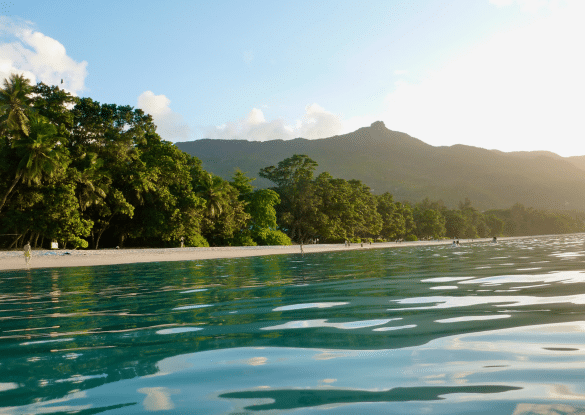 Vue depuis l’eau sur la plage de Mahé aux Seychelles, bordée de palmiers et de collines verdoyantes, baignée par une lumière dorée de fin de journée.