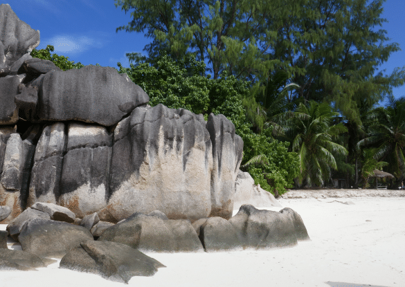Paysage de l’île Curieuse aux Seychelles avec ses rochers de granit emblématiques, sa plage de sable blanc et sa végétation tropicale luxuriante sous un ciel bleu éclatant.
