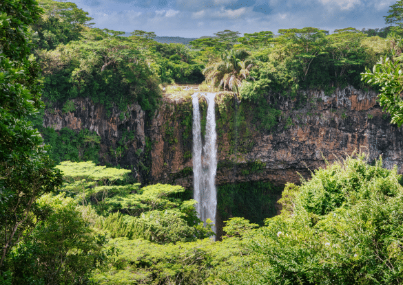 Vue panoramique de la cascade de Chamarel entourée de végétation tropicale à l’île Maurice.
