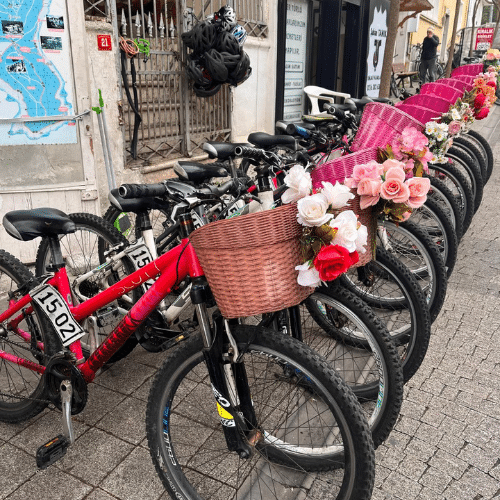 Rangée de vélos décorés de paniers fleuris sur les Princes’ Islands à Istanbul.