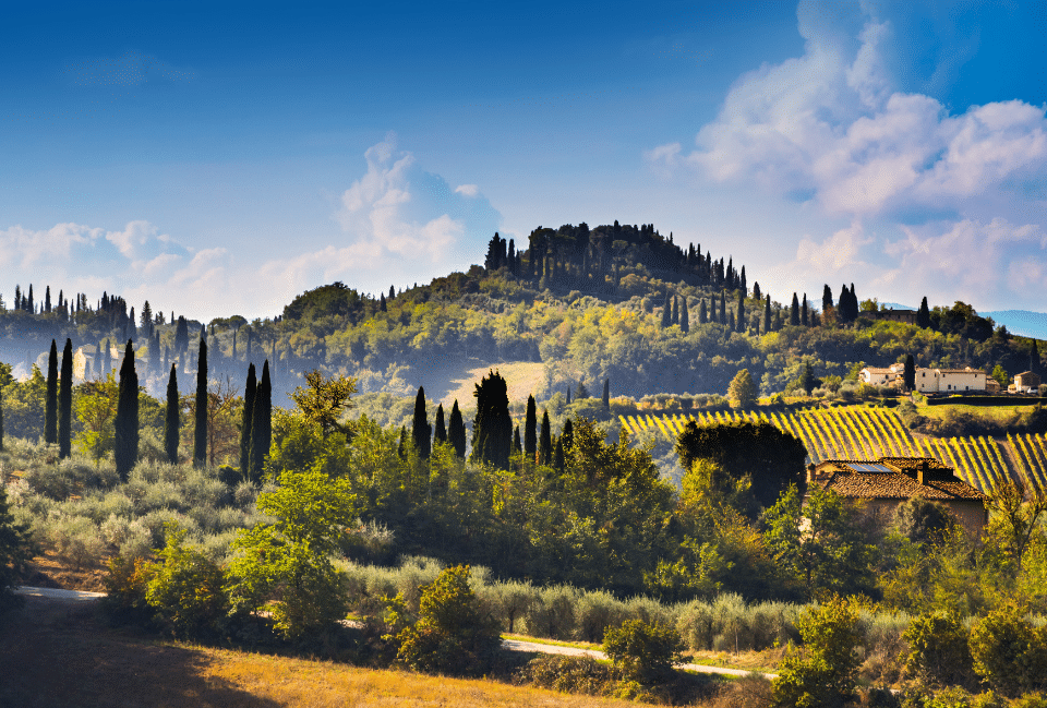 Paysage de Toscane en Italie : collines et cyprès au printemps Collines de Toscane avec cyprès, vignobles et maisons rurales en Italie
