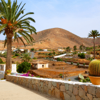 Paysage volcanique des Canaries : nature et villages sous le soleil Paysage volcanique avec palmiers et village dans les îles Canaries