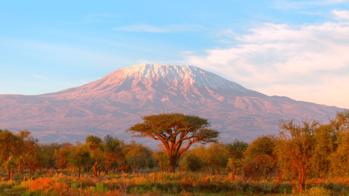 Safari en Tanzanie avec vue sur le Kilimandjaro au lever du soleil Mont Kilimandjaro dominant la savane tanzanienne au lever du soleil lors d'un safari en Tanzanie